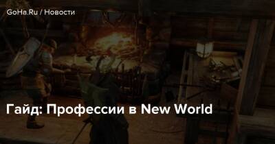 Гайд: Профессии в New World - goha.ru