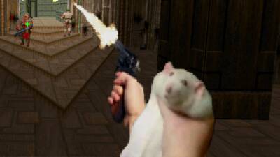 Крысы научились убивать противников в DOOM 2 - cybersport.metaratings.ru