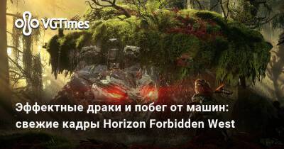 Эффектные драки и побег от машин: свежие кадры Horizon Forbidden West - vgtimes.ru