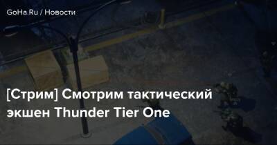 [Стрим] Смотрим тактический экшен Thunder Tier One - goha.ru