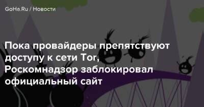 Пока провайдеры препятствуют доступу к сети Tor, Роскомнадзор заблокировал официальный сайт - goha.ru - Россия - Саратовская обл.
