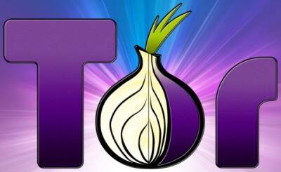 "Роскомсвобода": провайдеры и операторы прекратили блокировать сеть Tor в России, доступа нет только к сайту torproject - playground.ru - Россия - Москва