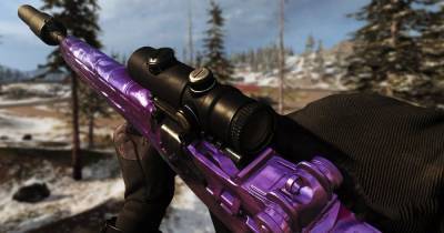 Робин Гуд - Из‑за бага некоторые игроки в Call of Duty: Warzone получили все скины на оружие - cybersport.ru
