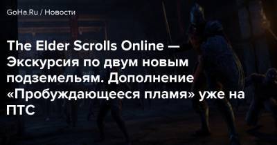 The Elder Scrolls Online — Экскурсия по двум новым подземельям. Дополнение «Пробуждающееся пламя» уже на ПТС - goha.ru