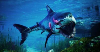 Объявлена дата релиза сюжетного DLC для симулятора акулы‑убийцы Maneater - cybersport.ru