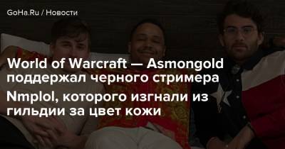 World of Warcraft — Asmongold поддержал черного стримера Nmplol, которого изгнали из гильдии за цвет кожи - goha.ru - Сша - Usa