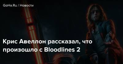 Крис Авеллон - Крис Авеллон рассказал, что произошло с Bloodlines 2 - goha.ru