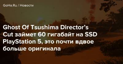 Ghost Of Tsushima Director’s Cut займет 60 гигабайт на SSD PlayStation 5, это почти вдвое больше оригинала - goha.ru