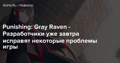Gray Raven - Punishing: Gray Raven - Разработчики уже завтра исправят некоторые проблемы игры - goha.ru