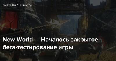 New World — Началось закрытое бета-тестирование игры - goha.ru