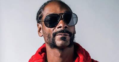Snoop Dogg несколько дней стримил без звука — зрители не смогли ему об этом сказать - cybersport.ru