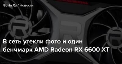 В сеть утекли фото и один бенчмарк AMD Radeon RX 6600 XT - goha.ru