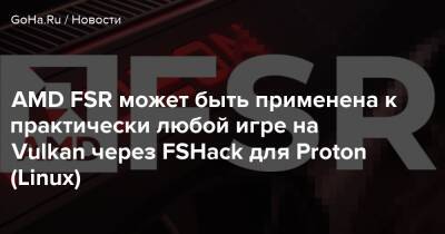 AMD FSR может быть применена к практически любой игре на Vulkan через FSHack для Proton (Linux) - goha.ru