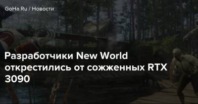 Разработчики New World открестились от сожженных RTX 3090 - goha.ru