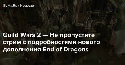 Guild Wars 2 — Не пропустите стрим с подробностями нового дополнения End of Dragons - goha.ru
