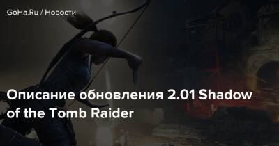 Описание обновления 2.01 Shadow of the Tomb Raider - goha.ru