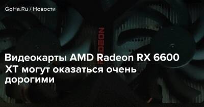 Видеокарты AMD Radeon RX 6600 XT могут оказаться очень дорогими - goha.ru