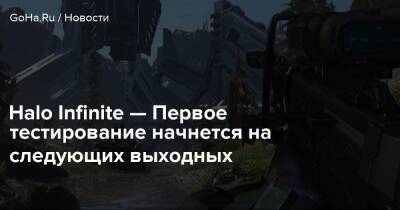 Halo Infinite — Первое тестирование начнется на следующих выходных - goha.ru