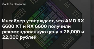 Инсайдер утверждает, что AMD RX 6600 XT и RX 6600 получили рекомендованную цену в 26,000 и 22,000 рублей - goha.ru