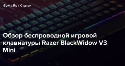 Обзор беспроводной игровой клавиатуры Razer BlackWidow V3 Mini - goha.ru