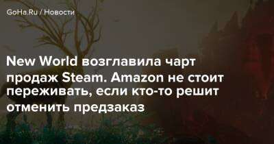 New World возглавила чарт продаж Steam. Amazon не стоит переживать, если кто-то решит отменить предзаказ - goha.ru