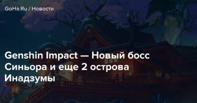 Genshin Impact — Новый босс Синьора и еще 2 острова Инадзумы - goha.ru