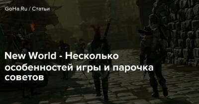 New World - Несколько особенностей игры и парочка советов - goha.ru