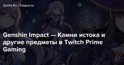 Genshin Impact — Камни истока и другие предметы в Twitch Prime Gaming - goha.ru