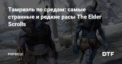 Тамриэль по средам: самые странные и редкие расы The Elder Scrolls - dtf.ru