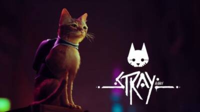 Stray про приключения кота в мире киберпанка выйдет в 2022 году. Представлен геймплейный трейлер - playground.ru
