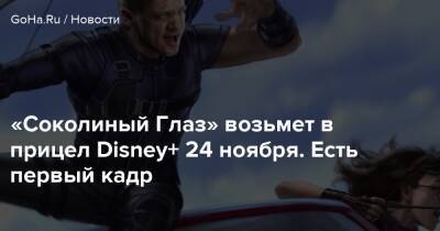 Джереми Реннер - Клинт Бартон - Кейт Бишоп - «Соколиный Глаз» возьмет в прицел Disney+ 24 ноября. Есть первый кадр - goha.ru