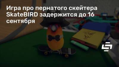 Игра про пернатого скейтера SkateBIRD задержится до 16 сентября - stopgame.ru
