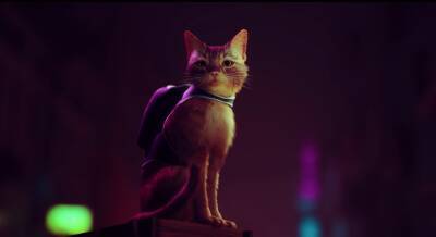 Дополнение для Outer Wilds, дата выхода Solar Ash и геймплей игры про котика Stray — что показали на презентации Annapurna Interactive - gametech.ru