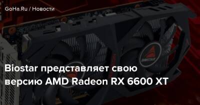 Biostar представляет свою версию AMD Radeon RX 6600 XT - goha.ru