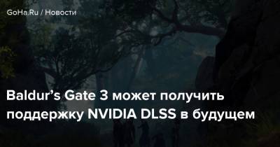 Свен Винке - Larian Studios - Baldur’s Gate 3 может получить поддержку NVIDIA DLSS в будущем - goha.ru