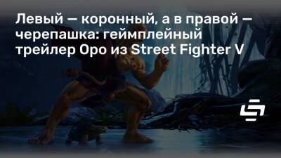 Левый — коронный, а в правой — черепашка: геймплейный трейлер Оро из Street Fighter V - stopgame.ru