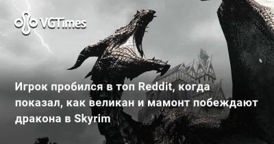 Игрок пробился в топ Reddit, когда показал, как великан и мамонт побеждают дракона в Skyrim - vgtimes.ru
