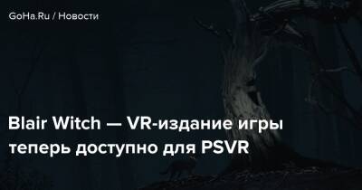 Blair Witch - Bloober Team - Blair Witch — VR-издание игры теперь доступно для PSVR - goha.ru