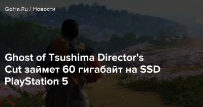 Ghost of Tsushima Director's Cut займет 60 гигабайт на SSD PlayStation 5 - goha.ru