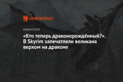 «Кто теперь драконорождённый?». В Skyrim запечатлели великана верхом на драконе - championat.com