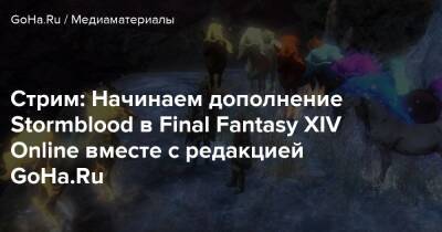 Martti Syber - Стрим: Начинаем дополнение Stormblood в Final Fantasy XIV Online вместе с редакцией GoHa.Ru - goha.ru