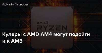 Кулеры с AMD AM4 могут подойти и к AM5 - goha.ru