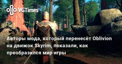 Авторы мода, который перенесёт Oblivion на движок Skyrim, показали, как преобразился мир игры - vgtimes.ru