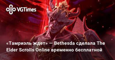 «Тамриэль ждет» — Bethesda сделала The Elder Scrolls Online временно бесплатной - vgtimes.ru