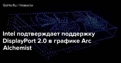 Intel подтверждает поддержку DisplayPort 2.0 в графике Arc Alchemist - goha.ru