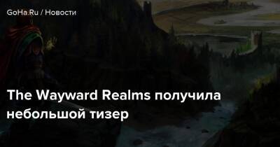 The Wayward Realms получила небольшой тизер - goha.ru