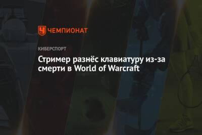 Стример разнёс клавиатуру из-за смерти в World of Warcraft - championat.com