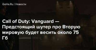 Томас Хендерсон - Call of Duty: Vanguard — Предстоящий шутер про Вторую мировую будет весить около 75 Гб - goha.ru