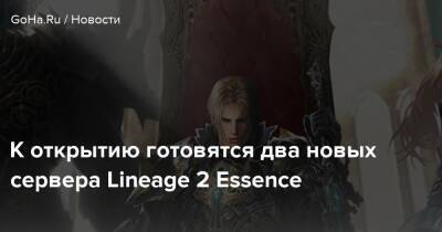 К открытию готовятся два новых сервера Lineage 2 Essence - goha.ru