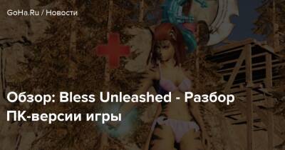 Обзор: Bless Unleashed - Разбор ПК-версии игры - goha.ru